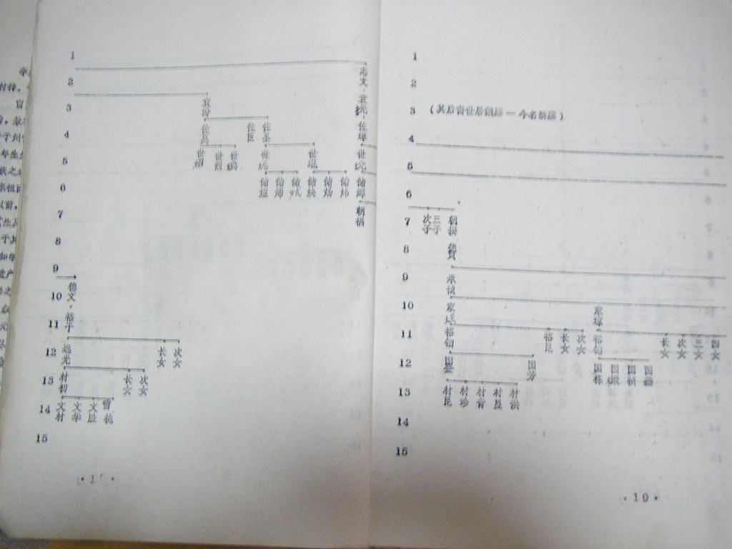 nsw013