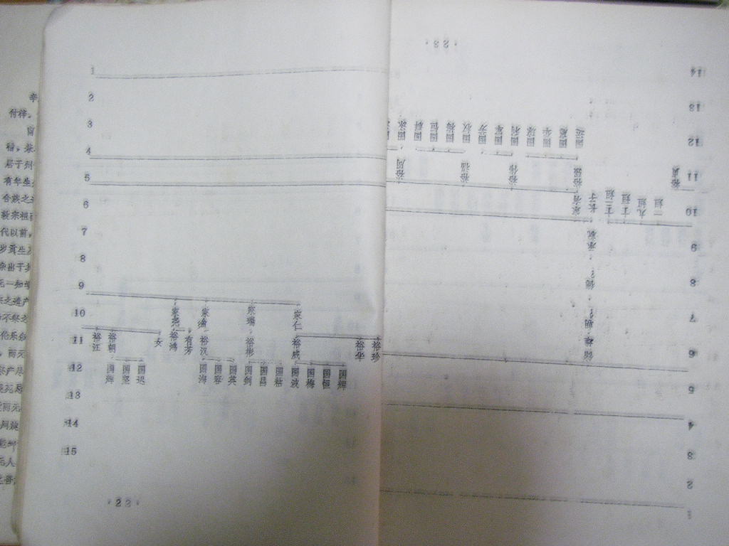 nsw015