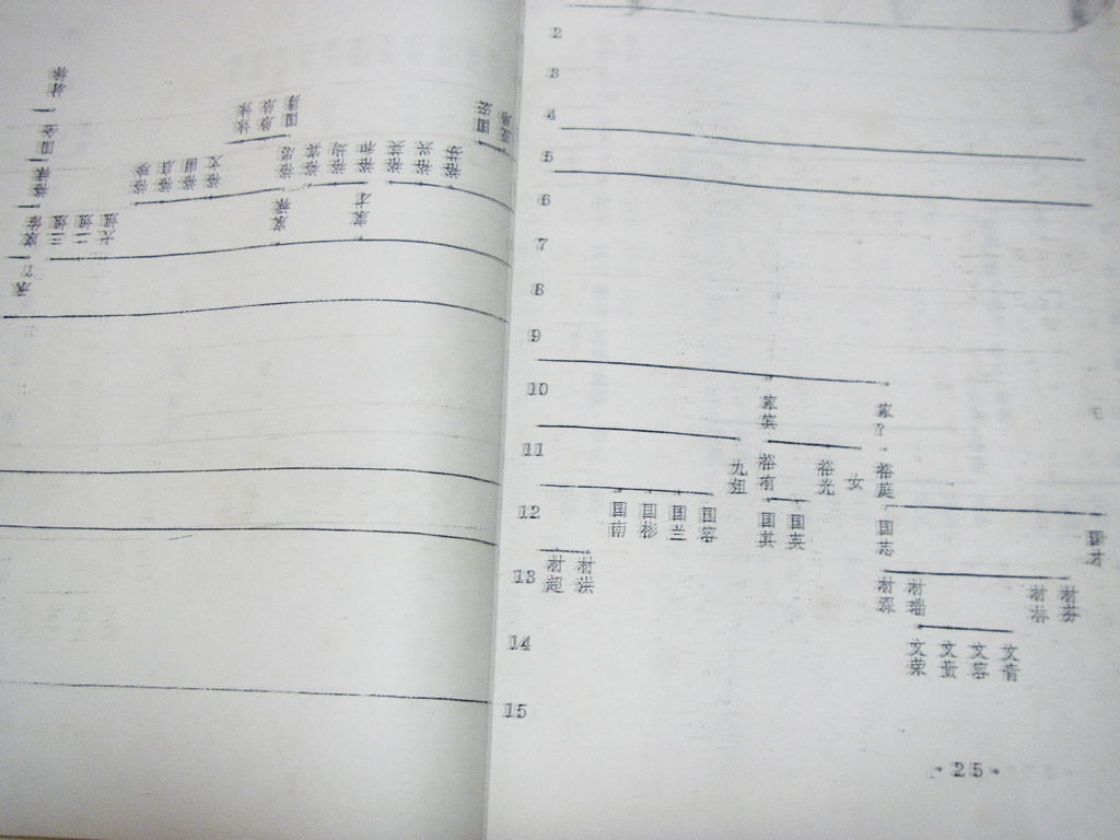 nsw016