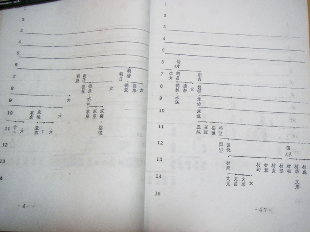 nsw027