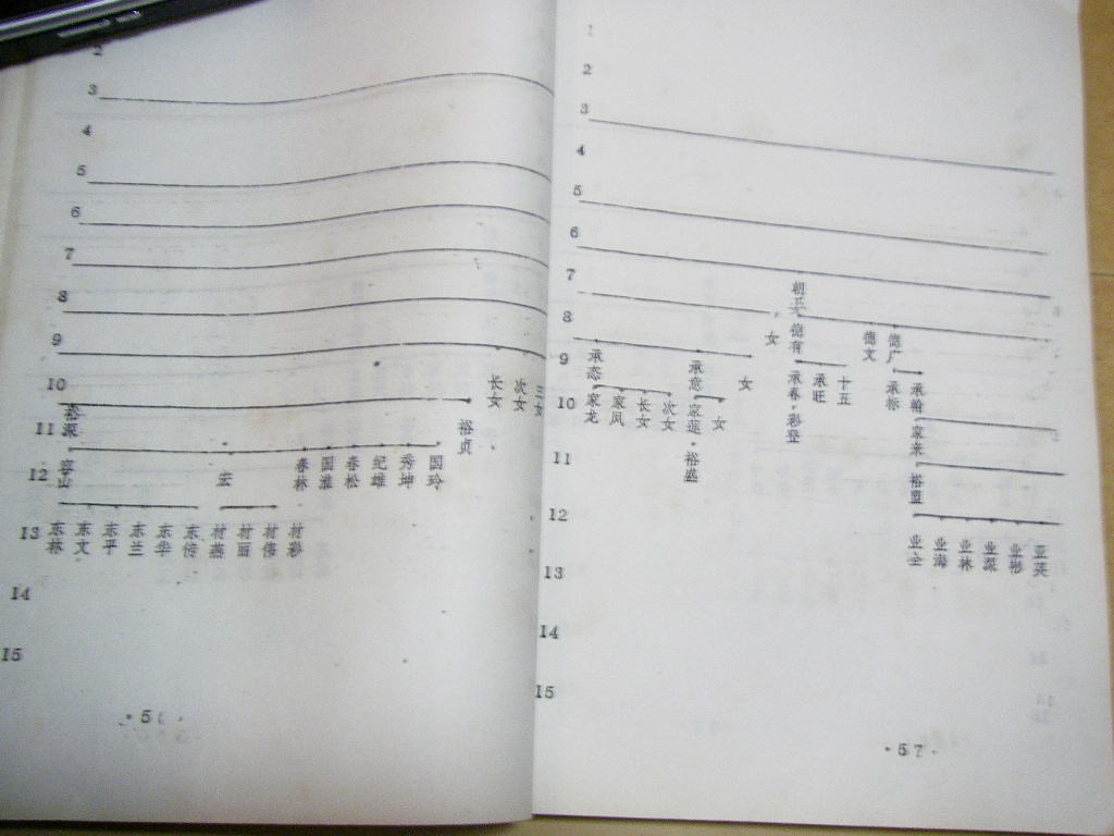 nsw032