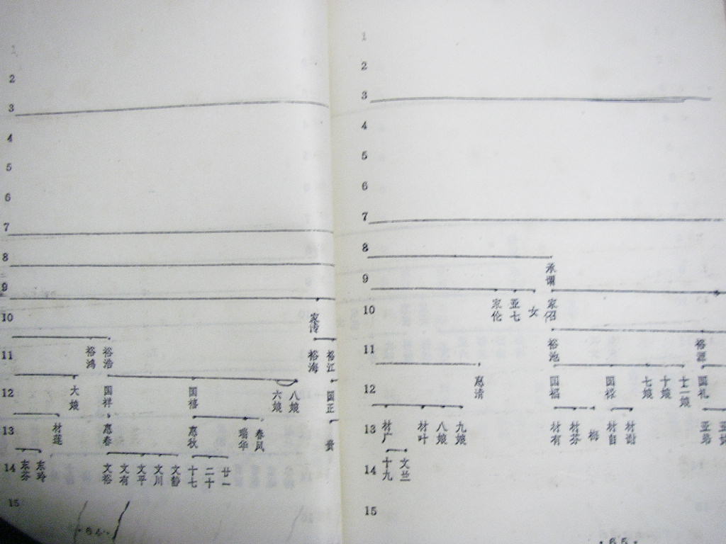 nsw036