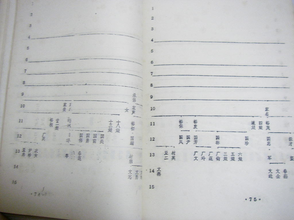 nsw041