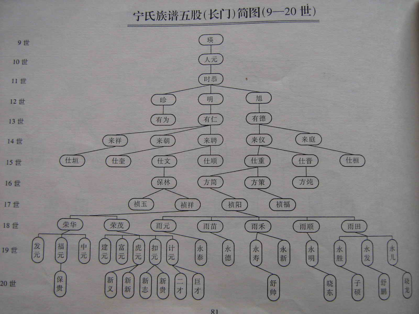 英语家谱图片分享_英语家谱图片下载